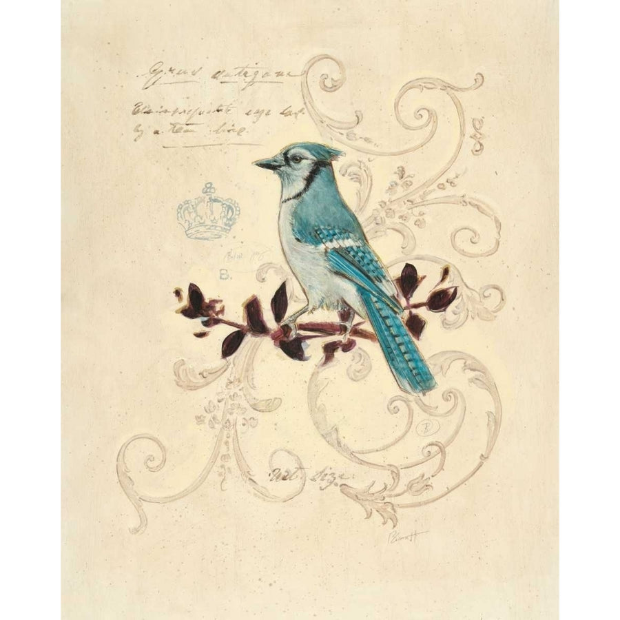 Filigree Jay Poster Print by Chad Barrett-VARPDX122BAR1186 Image 1