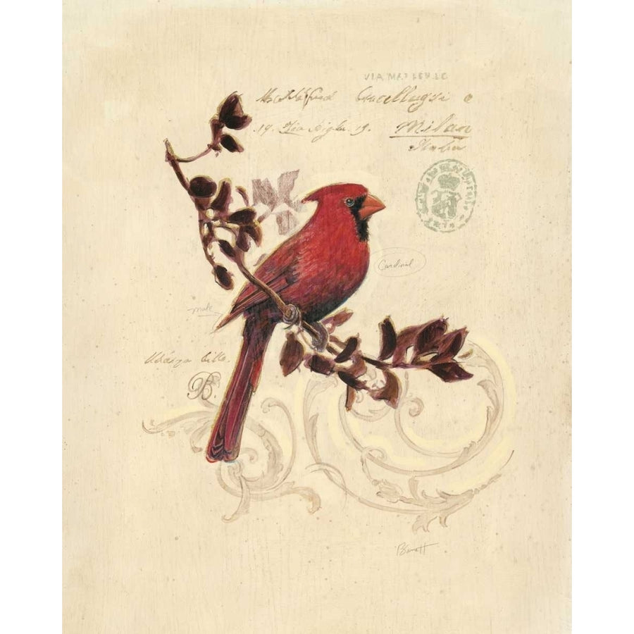 Filigree Cardinal Poster Print by Chad Barrett-VARPDX122BAR1184 Image 1