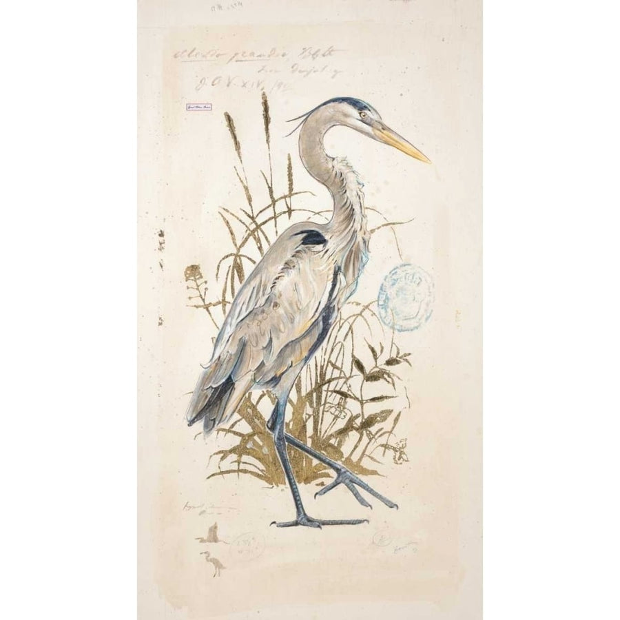 Great Blue Heron Poster Print by Chad Barrett-VARPDX122BAR1245 Image 1