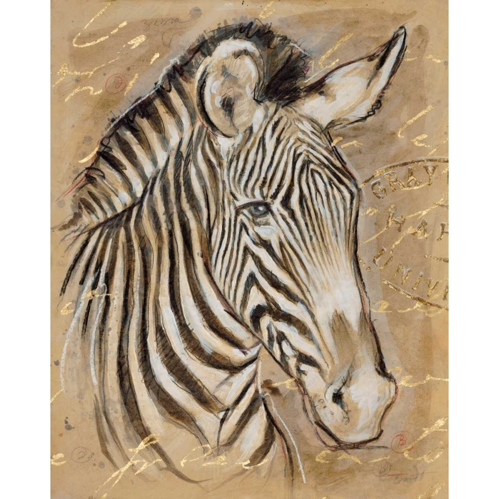 Safari Zebra Poster Print by Chad Barrett-VARPDX122BAR1271 Image 1