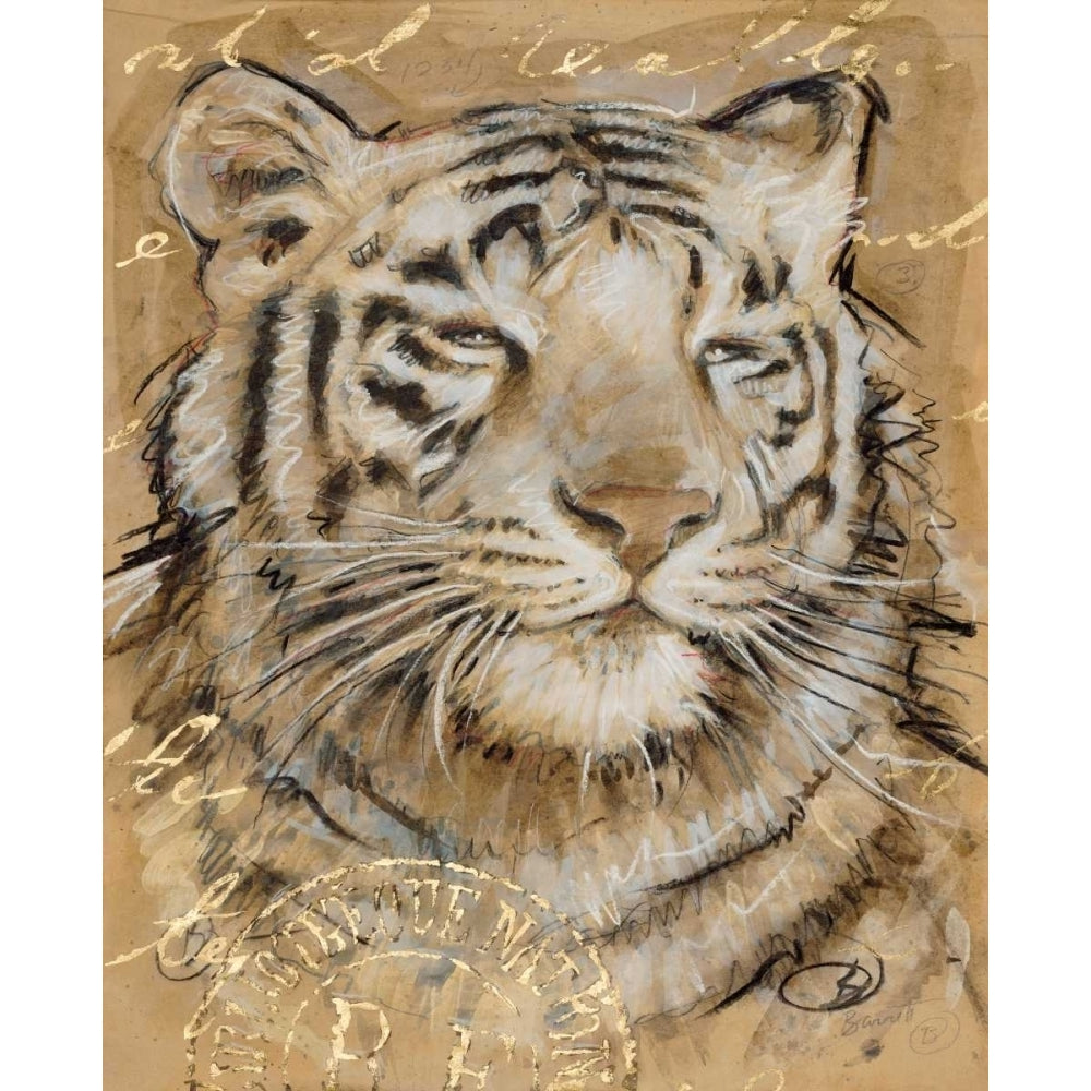 Safari Tiger Poster Print by Chad Barrett-VARPDX122BAR1273 Image 1