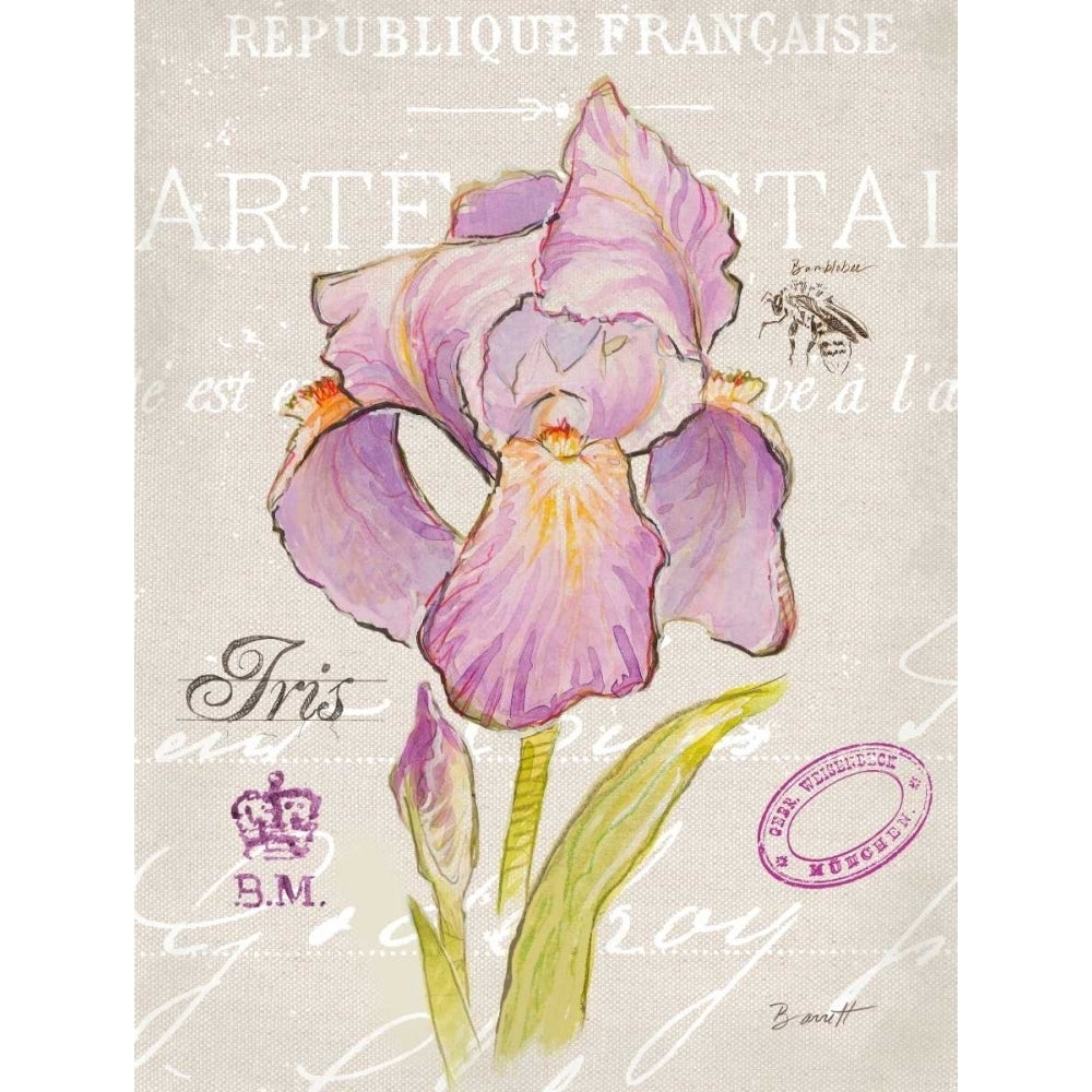 Sketchbook Iris Poster Print by Chad Barrett-VARPDX122BAR1454B Image 1