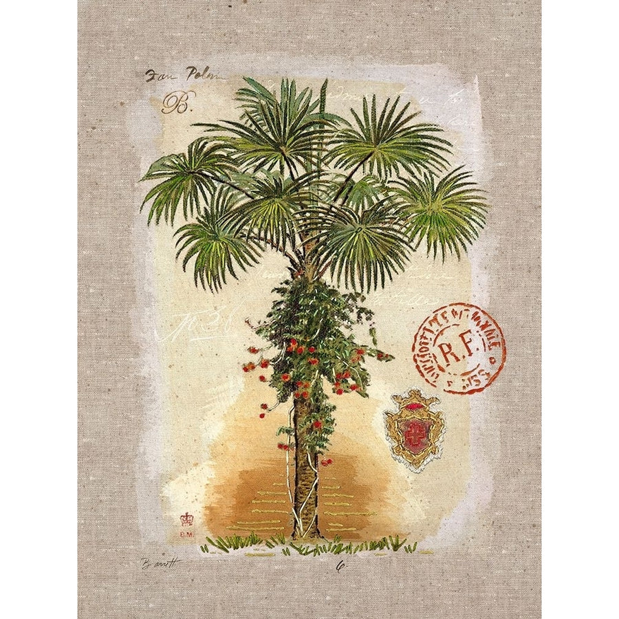 Linen Fan Palm Tree by Chad Barrett-VARPDX122BAR1500C Image 1