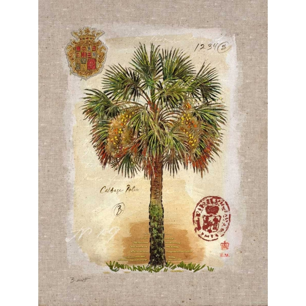 Linen Cabbage Palm Tree Poster Print by Chad Barrett-VARPDX122BAR1498C Image 1