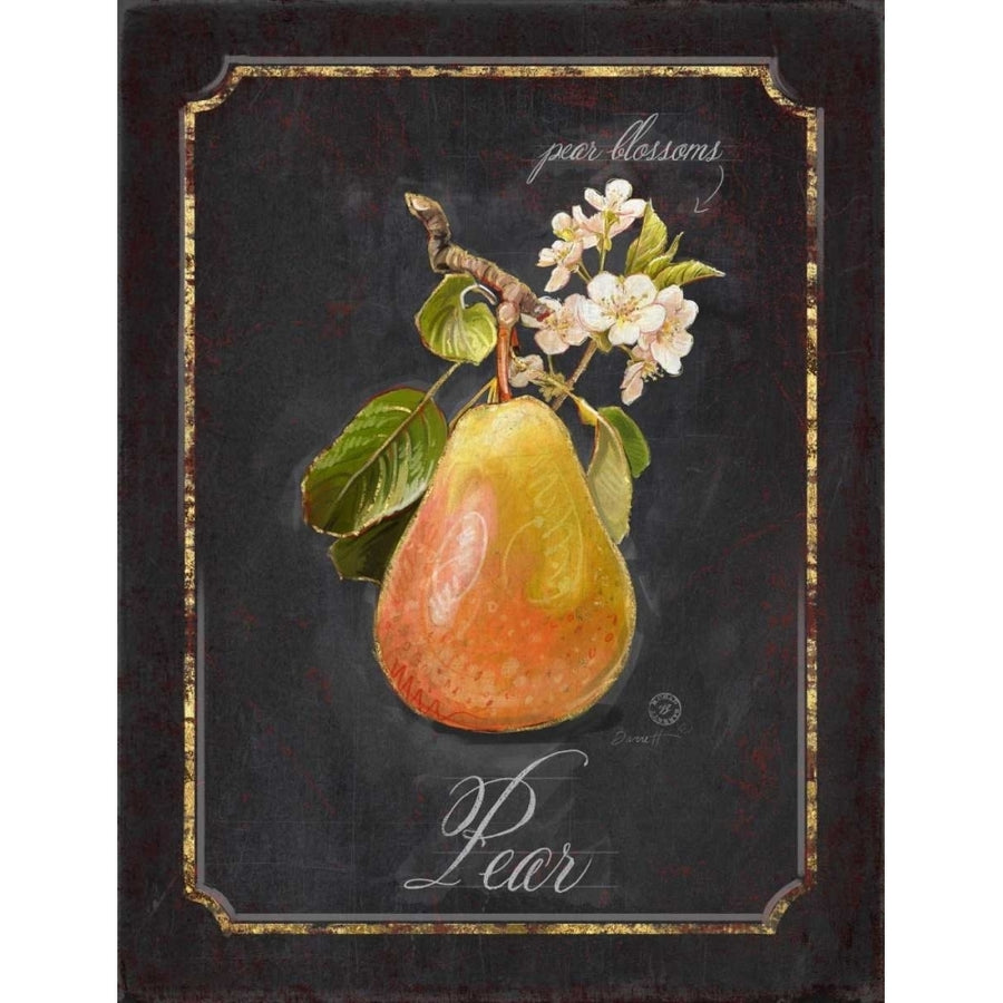 Heritage Pear Poster Print by Chad Barrett-VARPDX122BAR1656 Image 1