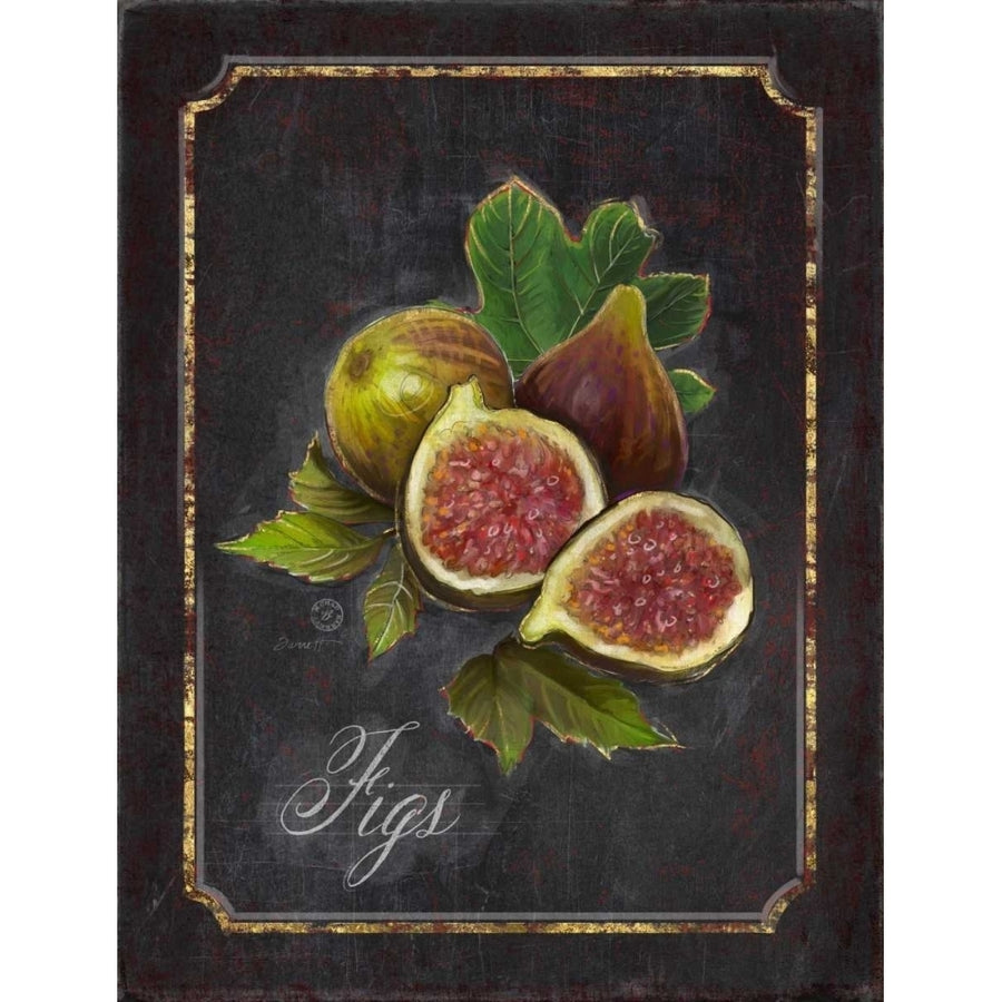 Heritage Figs Poster Print by Chad Barrett-VARPDX122BAR1659 Image 1