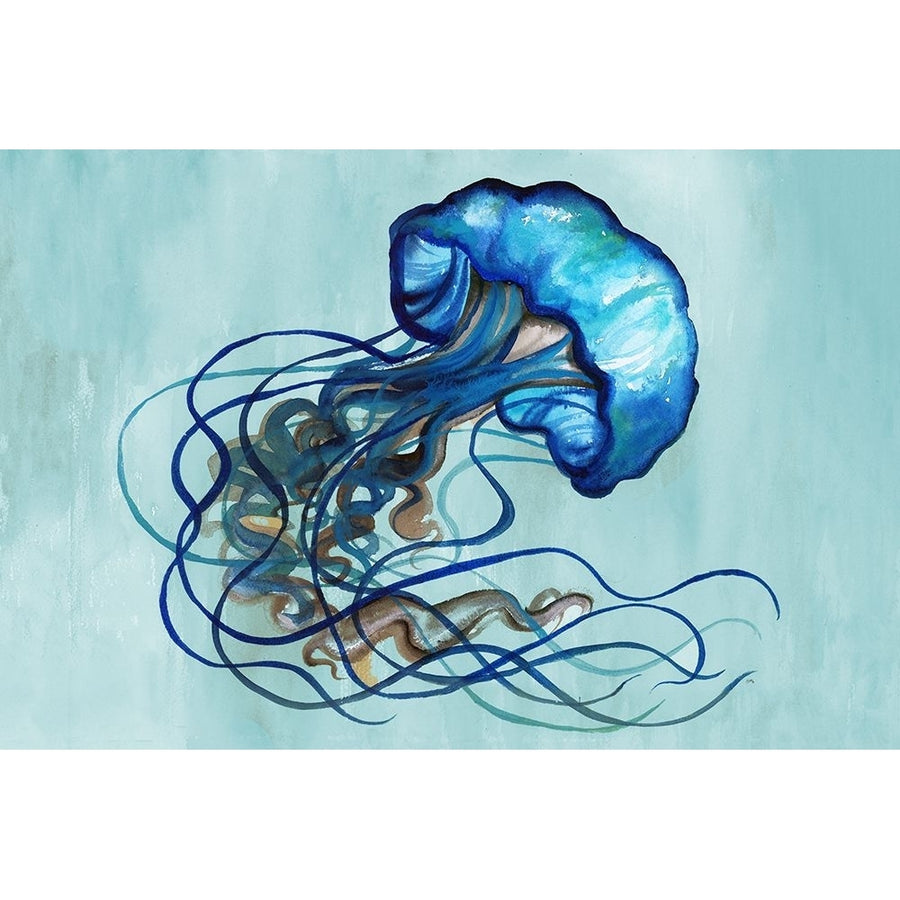 Watercolor Jellyfish Poster Print - Elizabeth Medley-VARPDX12305J Image 1