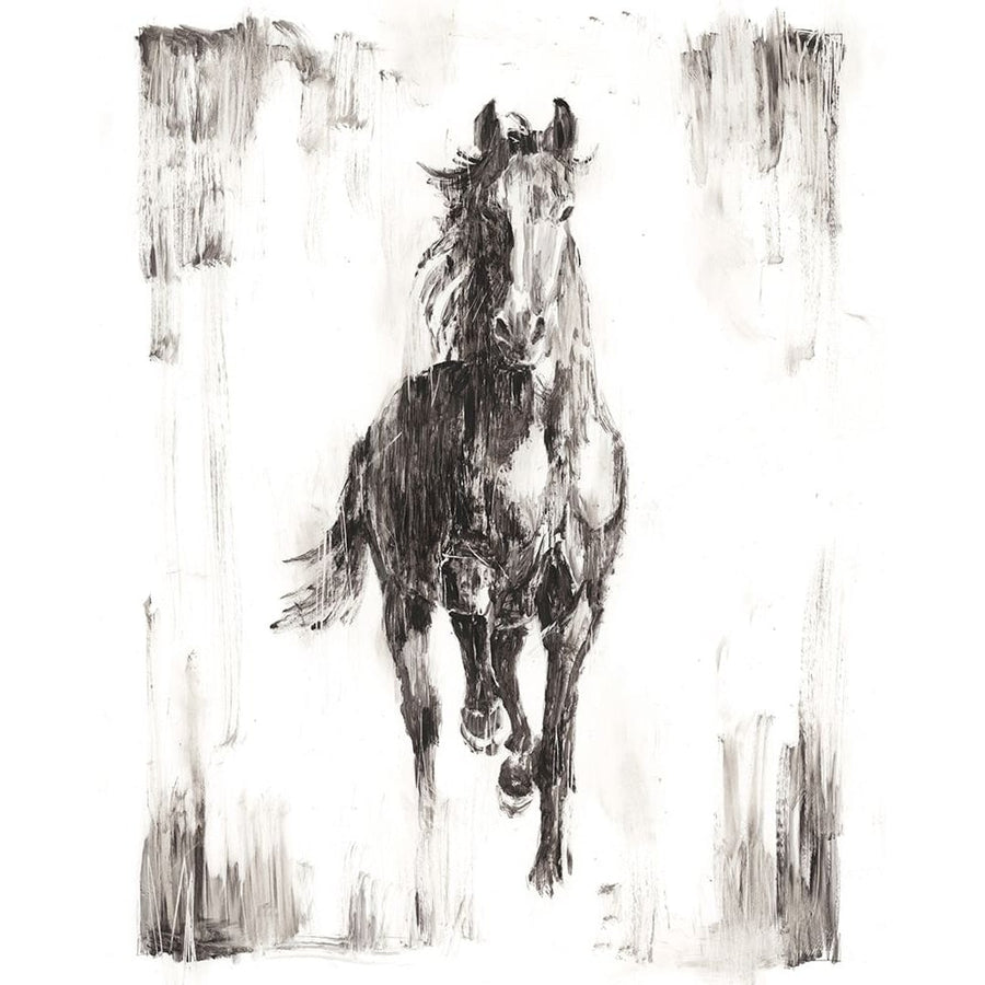 Rustic Black Stallion I Poster Print - Ethan Harper-VARPDX123116GG Image 1