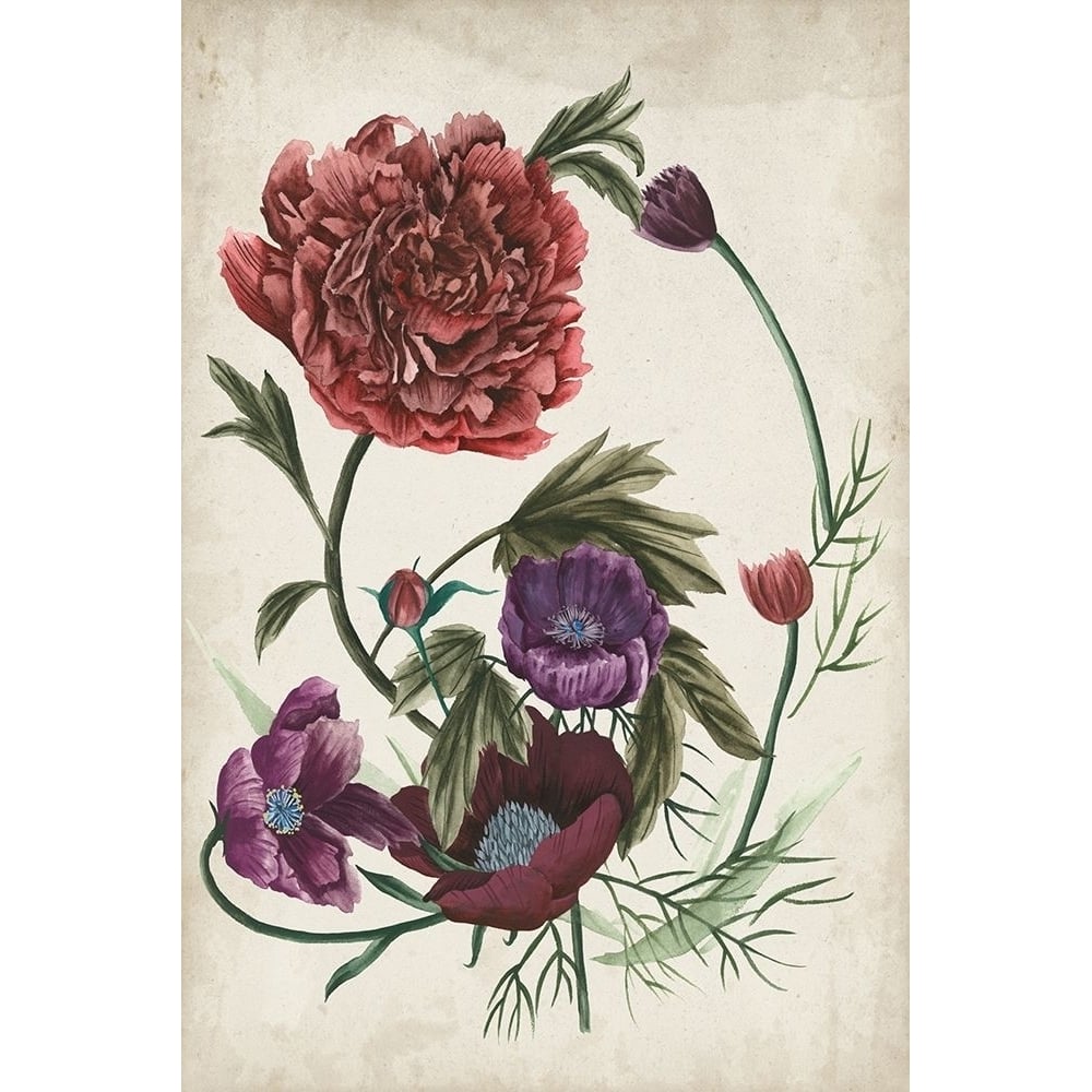 Antique Peony I Poster Print - Melissa Wang-VARPDX123190Z Image 1