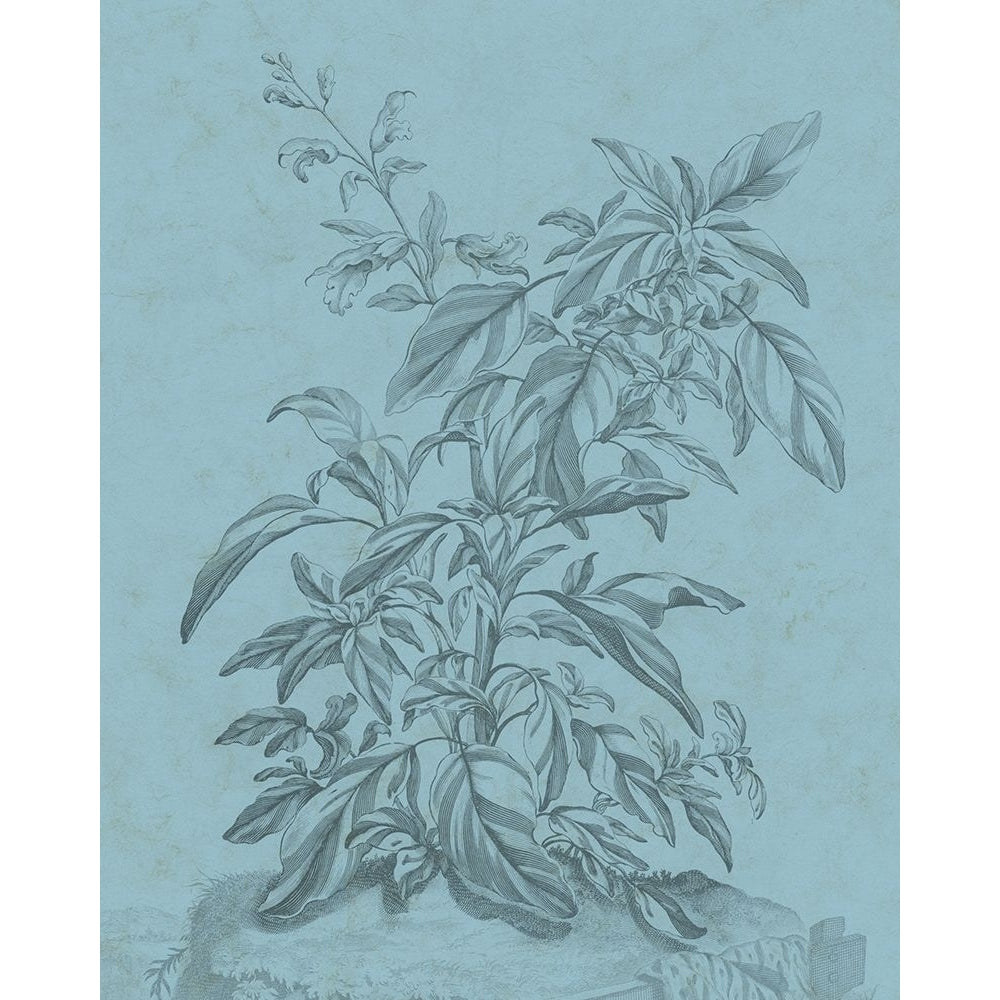 Botanical on Teal III Poster Print - Studio Vision-VARPDX123316Z Image 1