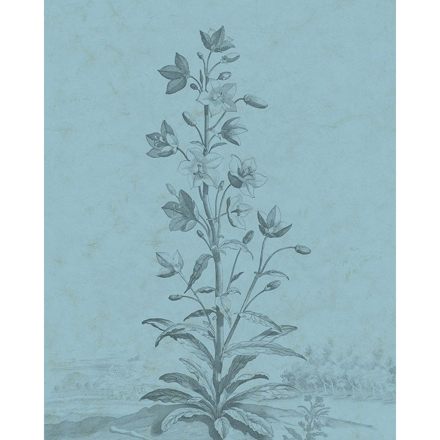 Botanical on Teal II Poster Print - Studio Vision-VARPDX123315Z Image 1