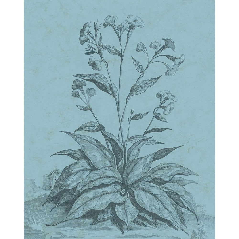 Botanical on Teal VI Poster Print - Studio Vision-VARPDX123319Z Image 1