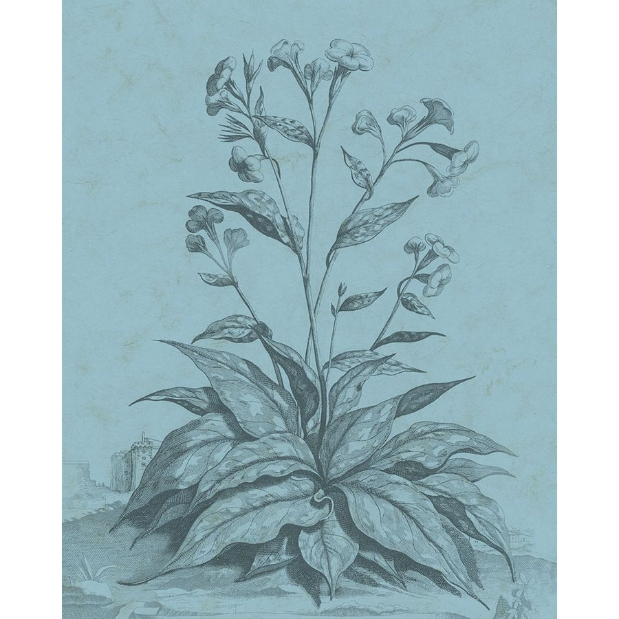 Botanical on Teal VI Poster Print - Studio Vision-VARPDX123319Z Image 1