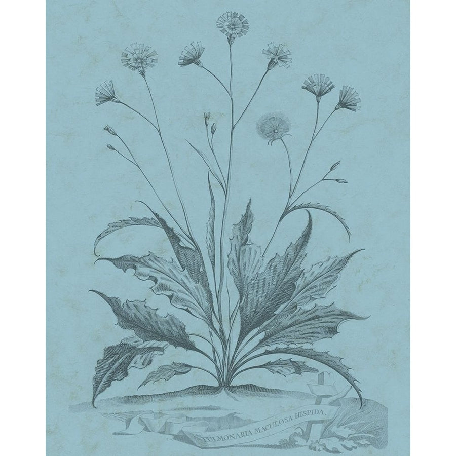 Botanical on Teal IV Poster Print - Studio Vision-VARPDX123317Z Image 1