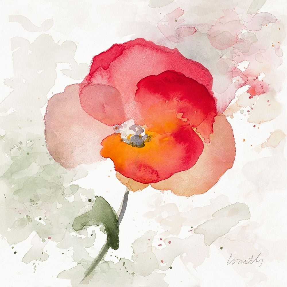 Translucent Poppy I Poster Print by Lanie Loreth-VARPDX12334 Image 1