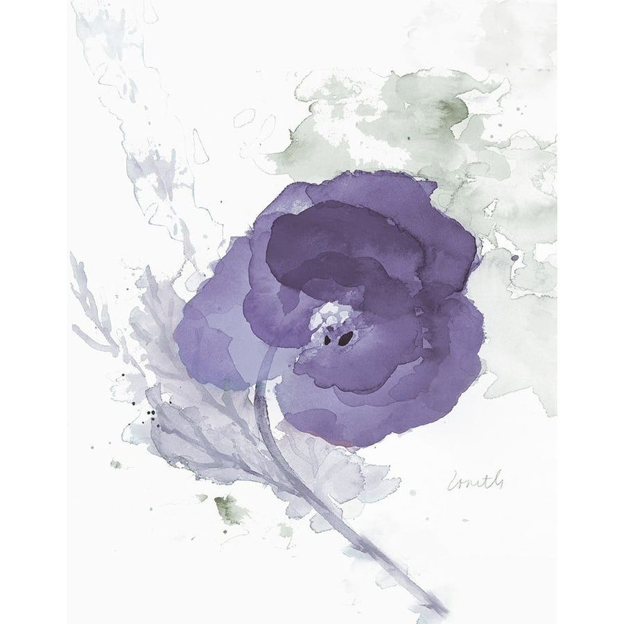 Translucent Mauve Poppy II Poster Print - Lanie Loreth-VARPDX12335F Image 1