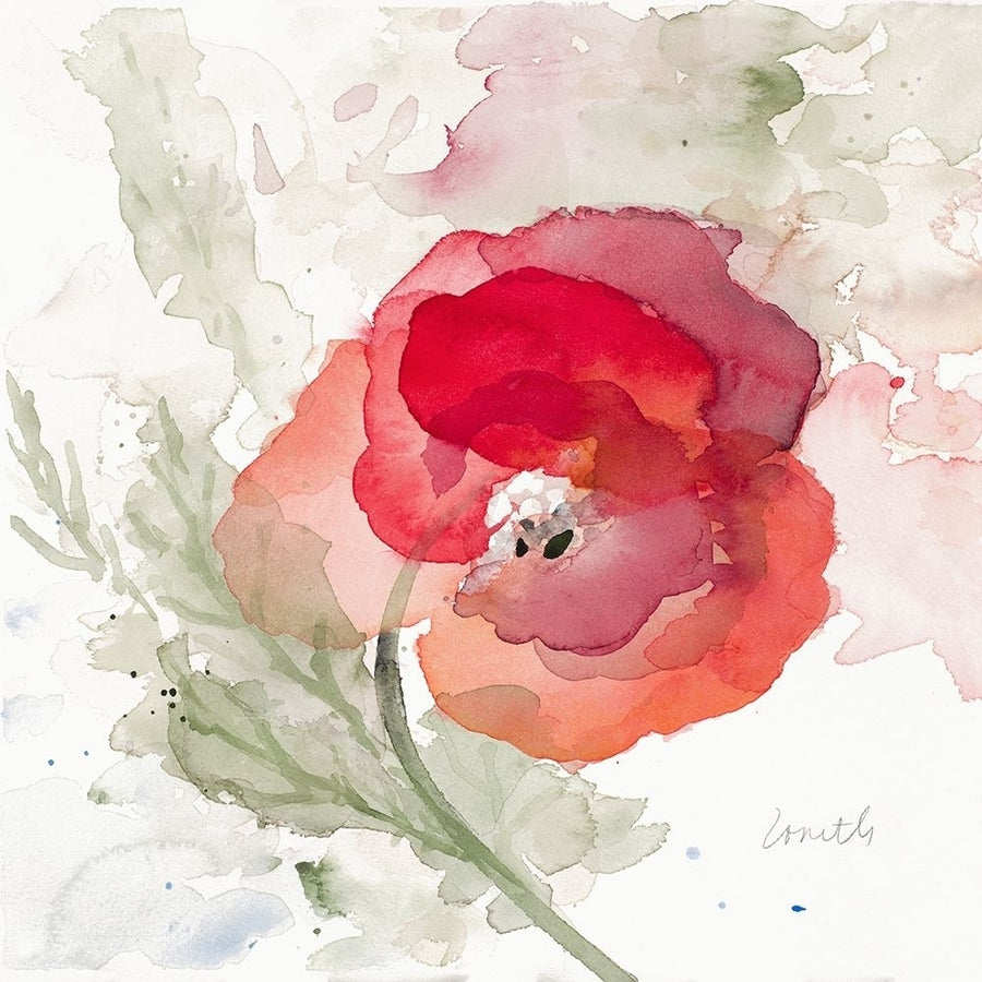 Translucent Poppy II Poster Print by Lanie Loreth-VARPDX12335 Image 1