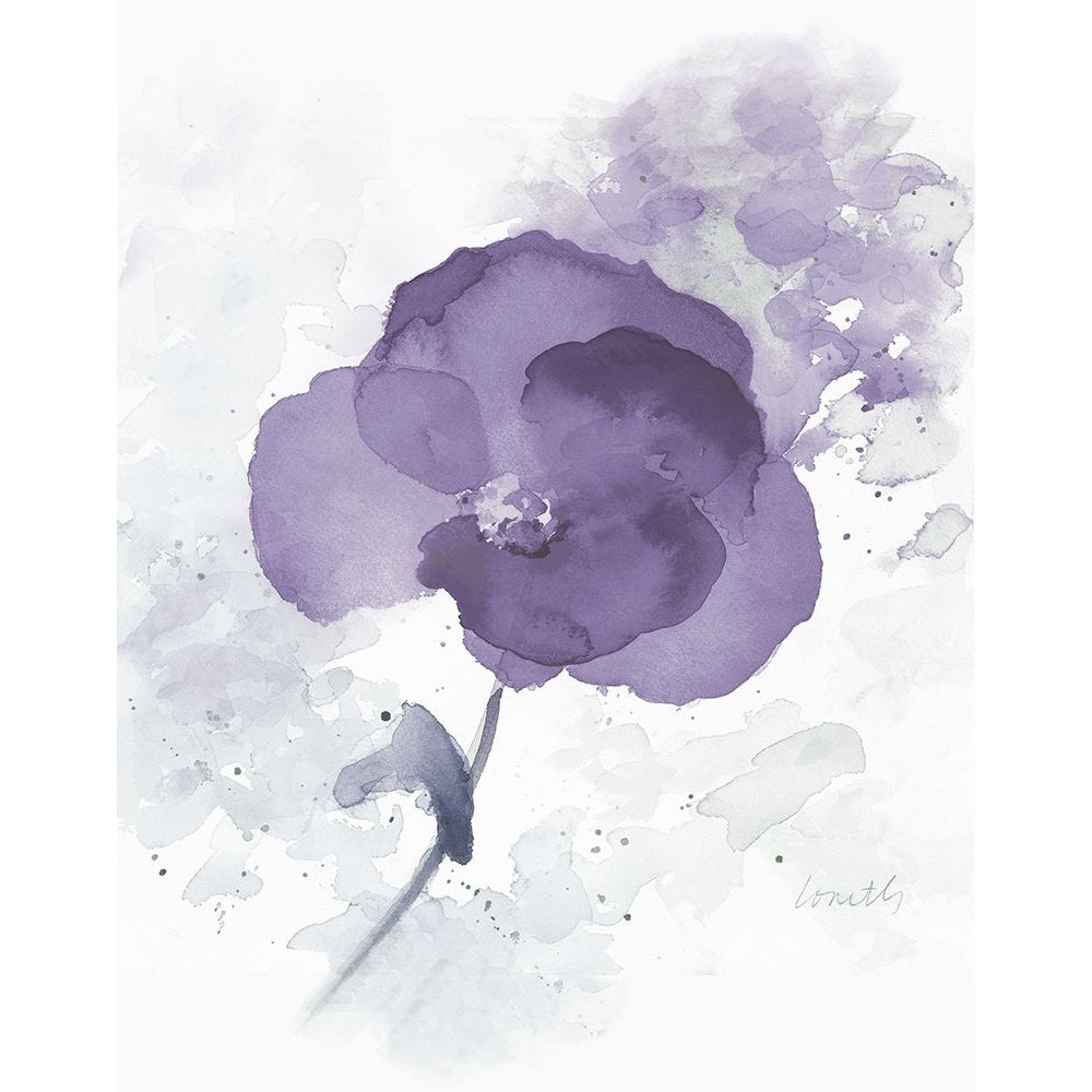 Translucent Mauve Poppy I Poster Print - Lanie Loreth-VARPDX12334F Image 1