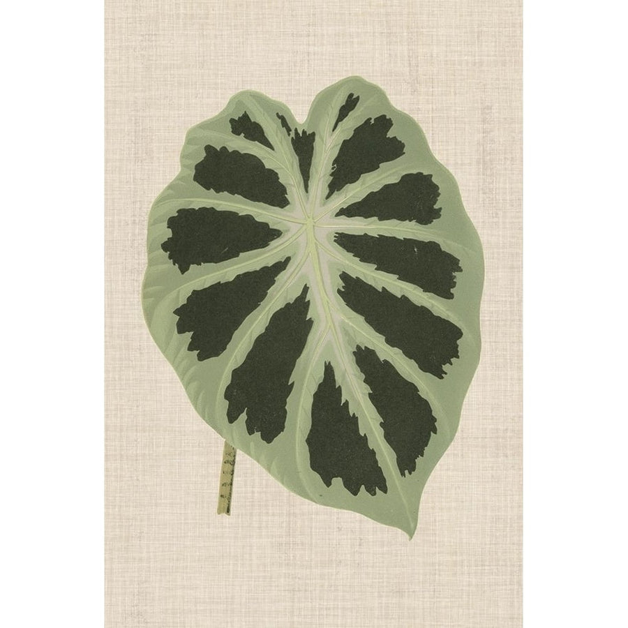 Leaves on Linen II Poster Print - Unknown-VARPDX123383Z Image 1