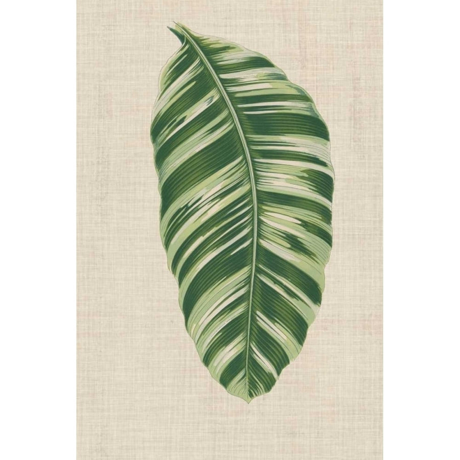 Leaves on Linen VI Poster Print - Unknown-VARPDX123387Z Image 1