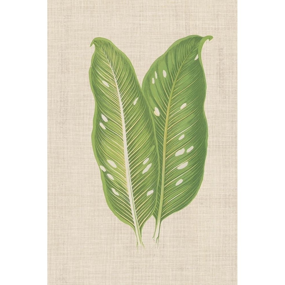 Leaves on Linen V Poster Print - Unknown-VARPDX123386Z Image 1