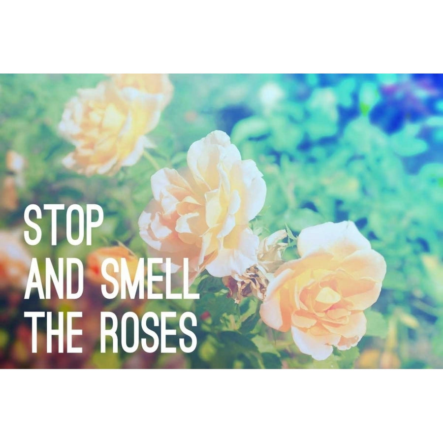 Stop And Smell The Roses Poster Print by Gail Peck-VARPDX12372K Image 1