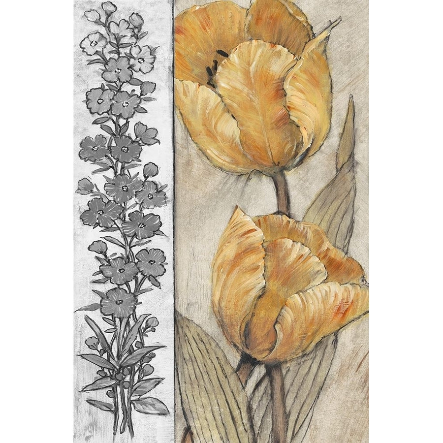 Ochre and Grey Tulips IV Poster Print - Tim OToole-VARPDX123780GG Image 1