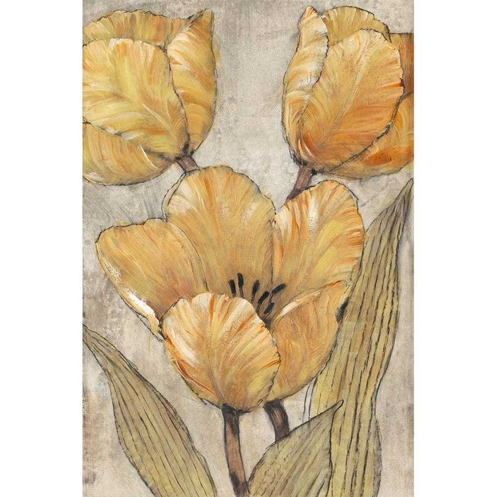 Ochre and Grey Tulips II Poster Print - Tim OToole-VARPDX123778GG Image 1