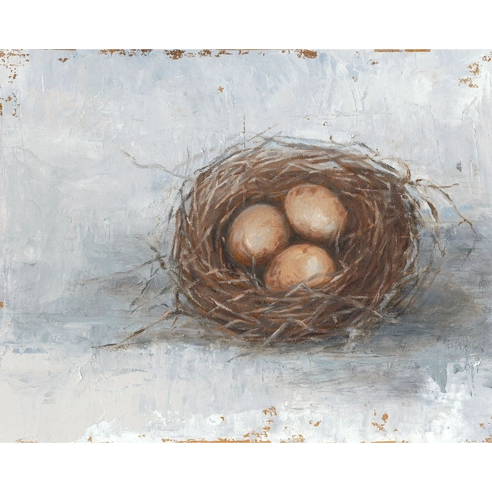 Rustic Bird Nest II Poster Print - Ethan Harper-VARPDX123950Z Image 1