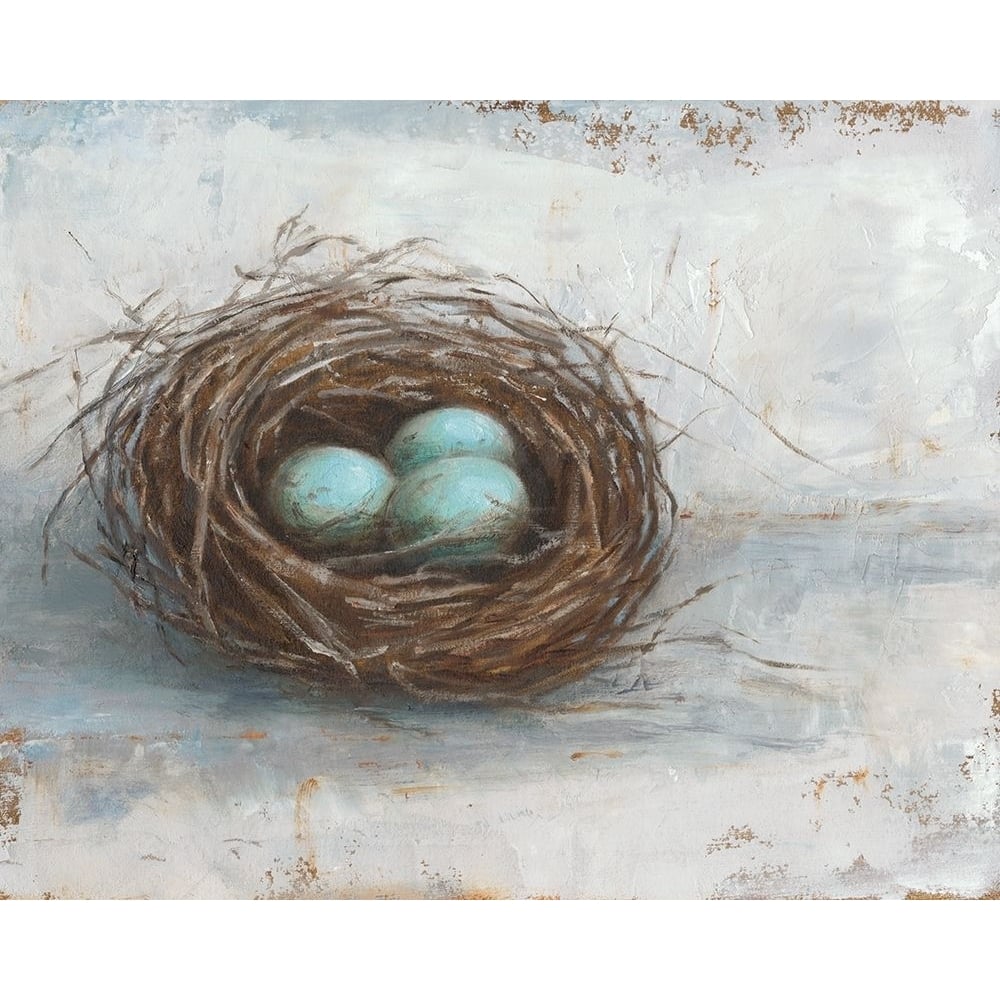 Rustic Bird Nest I Poster Print - Ethan Harper-VARPDX123949Z Image 1