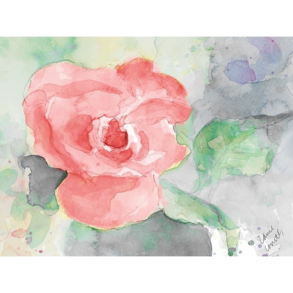 Pink Flower Poster Print by Lanie Loreth-VARPDX12398C Image 1