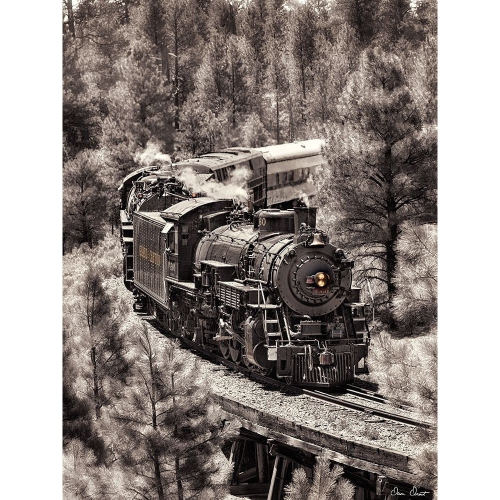 Train Arrival III Poster Print - David Drost-VARPDX124038GG Image 1