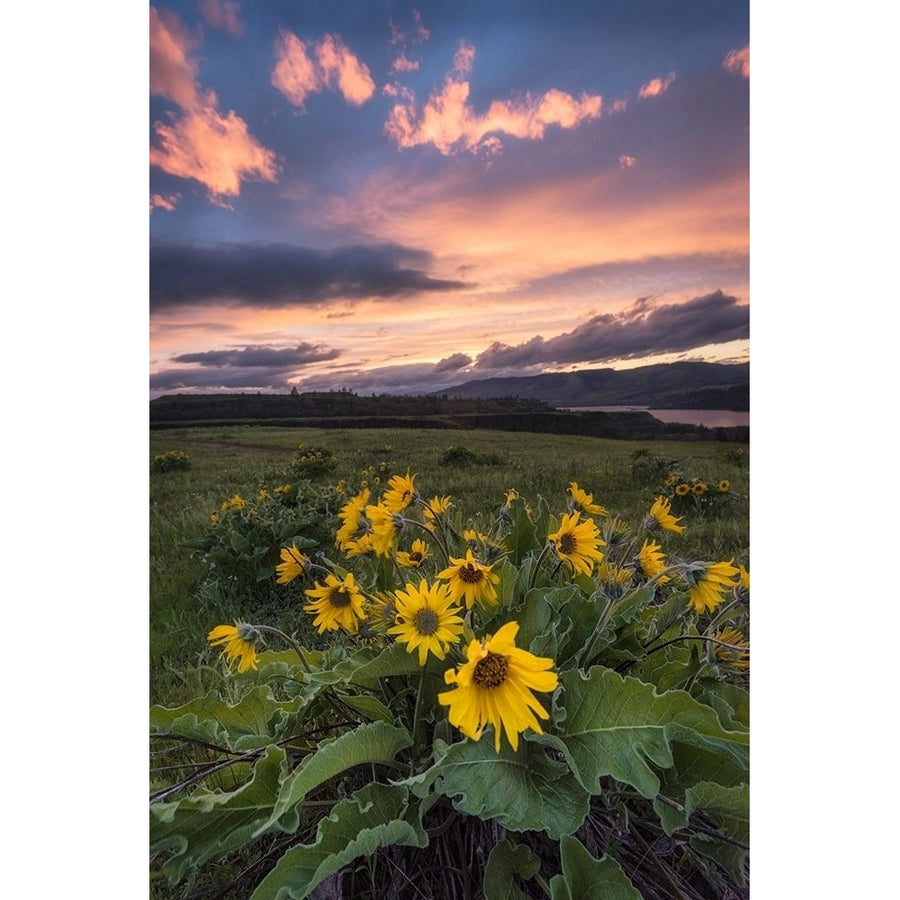 Sunset at the Gorge Poster Print - Danny Head-VARPDX124091Z Image 1