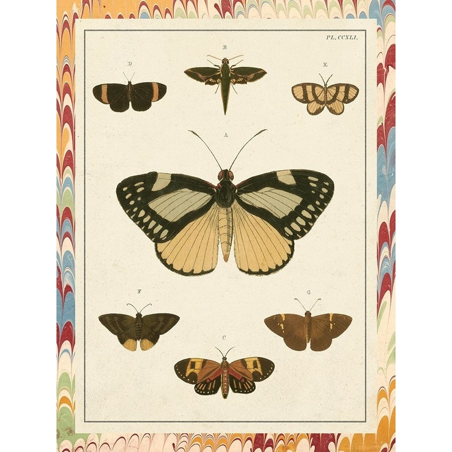 Marble Butterflies II Poster Print - Studio Vision-VARPDX124151Z Image 1