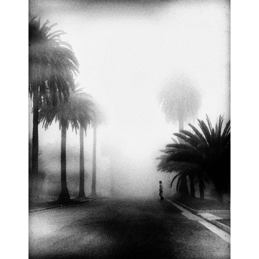 Fog Poster Print - Roxana Labagnara-VARPDX1241687 Image 1