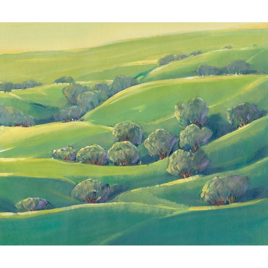 Hillside View I Poster Print - Tim OToole-VARPDX124246GG Image 1