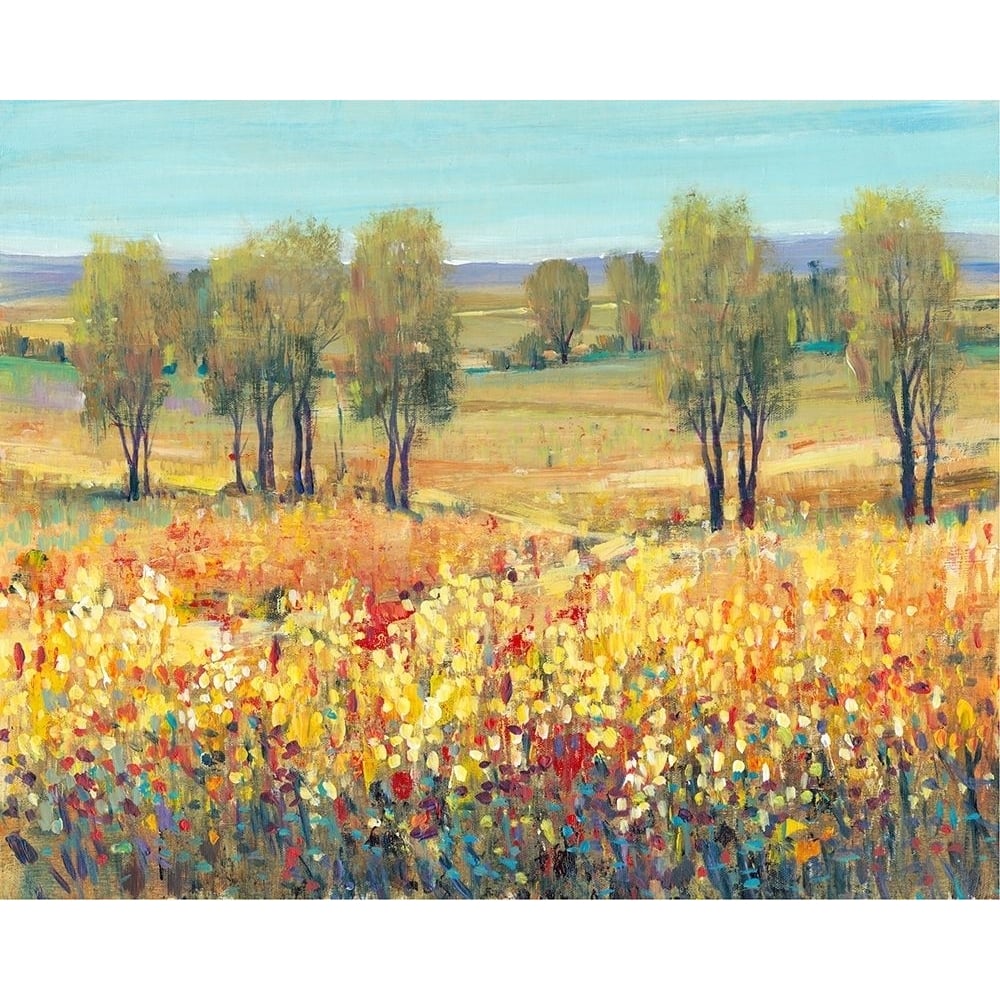 Golden Fields I Poster Print - Tim OToole-VARPDX124250GG Image 1