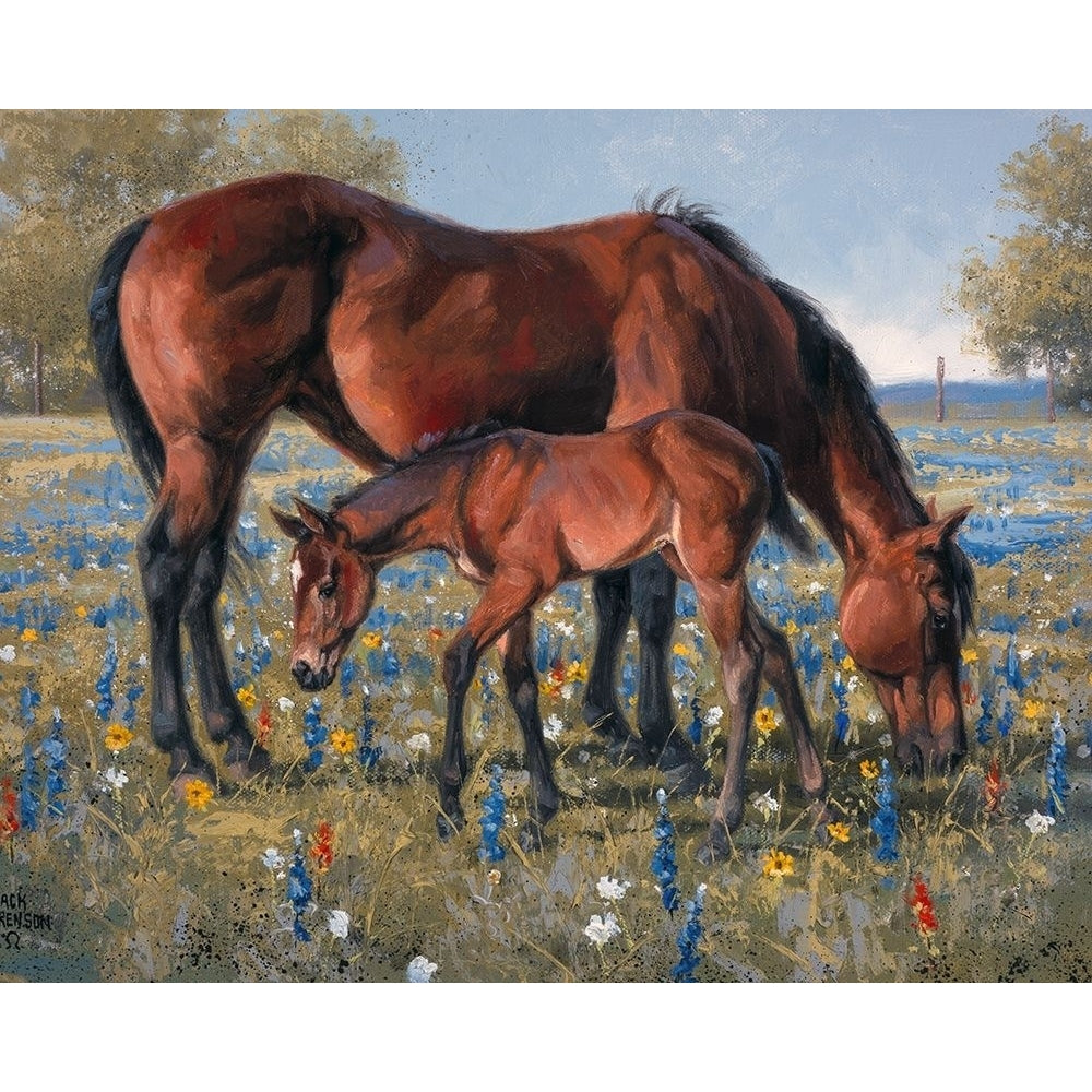 Wildflower Poster Print - Jack Sorenson-VARPDX124265GG Image 1