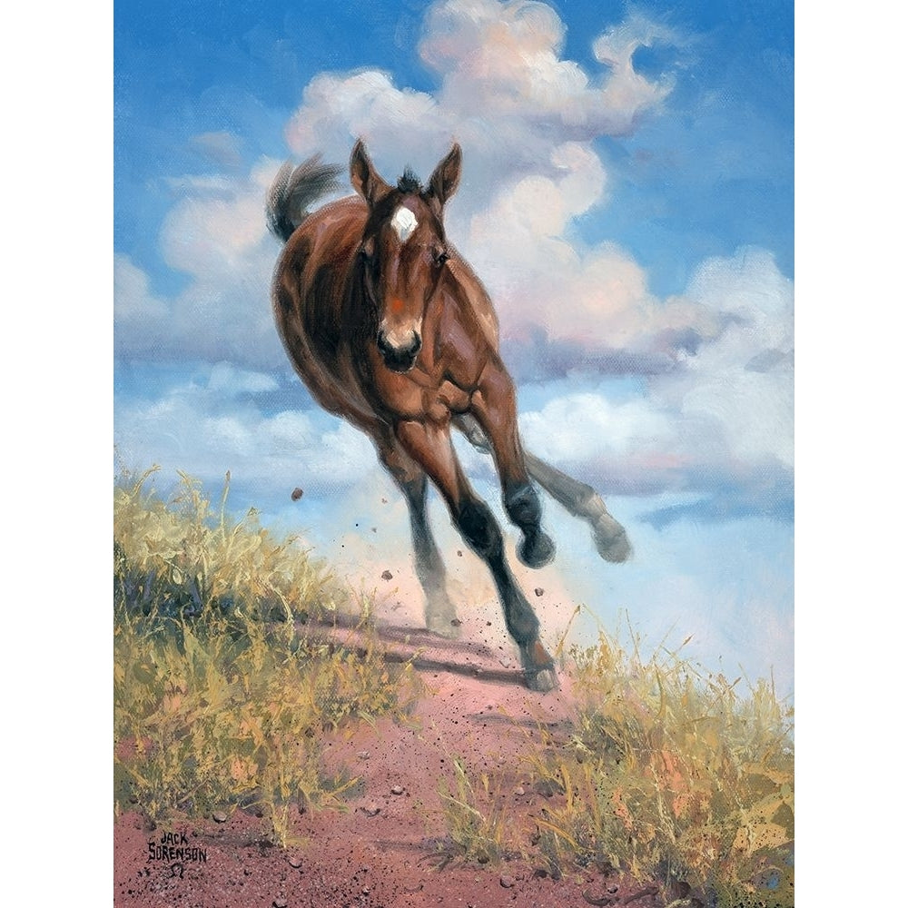 Wild Oats Poster Print - Jack Sorenson-VARPDX124269GG Image 1