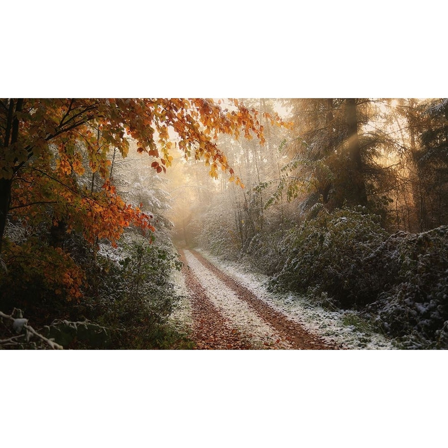 Frosty Fall Poster Print - Vincent Croce-VARPDX1243396 Image 1