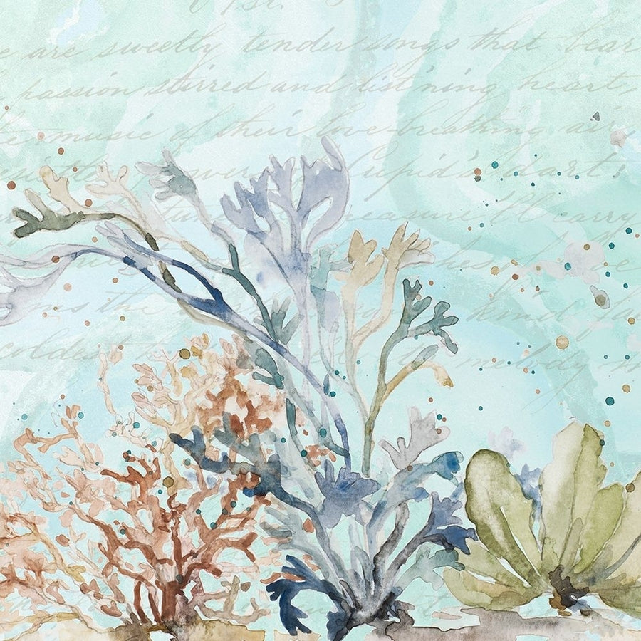 Seaweed Watercolor II Poster Print - Patricia Pinto-VARPDX12435QA Image 1