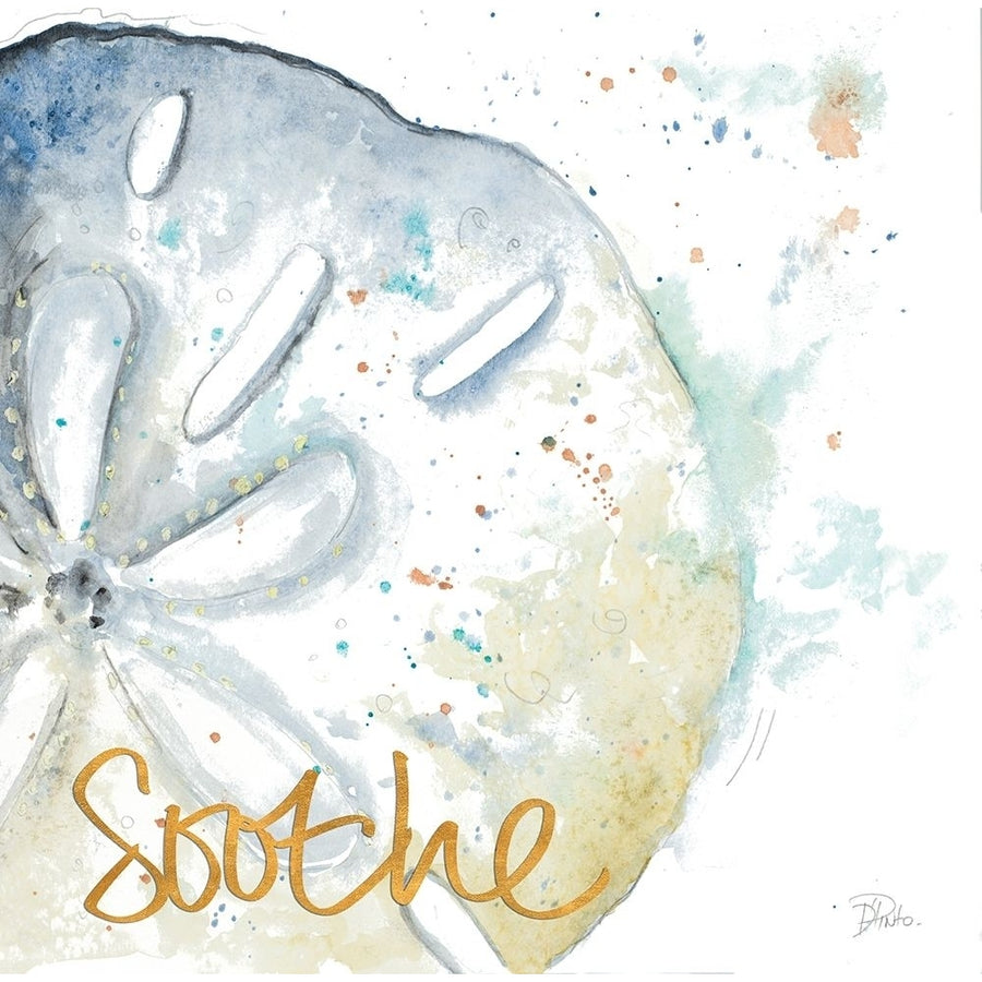 Soothe Water Sand Dollar Poster Print by Patricia Pinto-VARPDX12436J Image 1