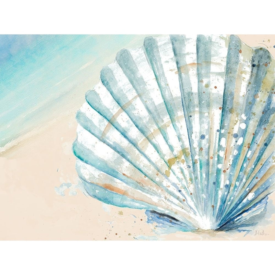 Awashed Shell Poster Print - Patricia Pinto-VARPDX12440C Image 1