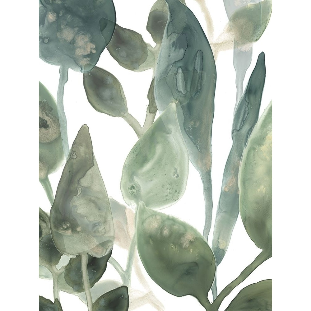 Water Leaves IV Poster Print - June Erica Vess-VARPDX124444GG Image 1