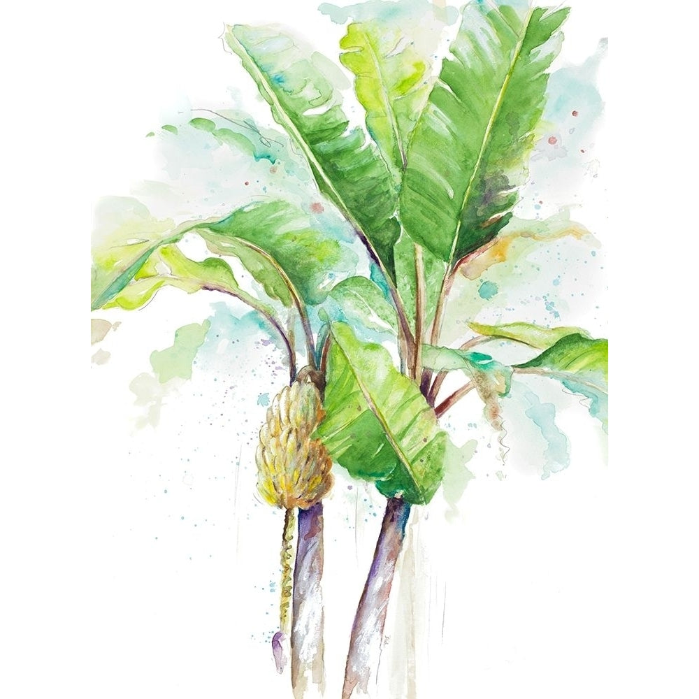 Watercolor Banana Plantain Poster Print by Patricia Pinto-VARPDX12446 Image 1