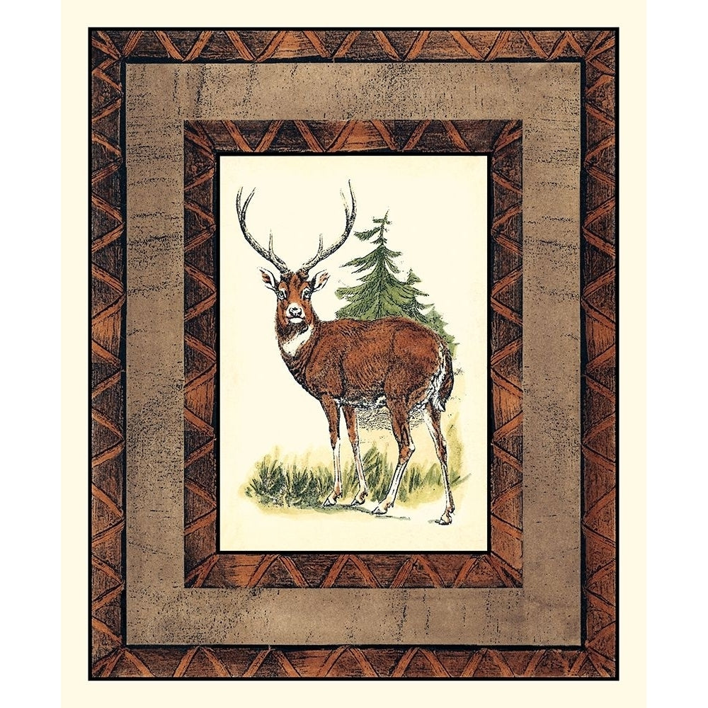 Rustic Deer Poster Print - Studio Vision-VARPDX1244Z Image 1