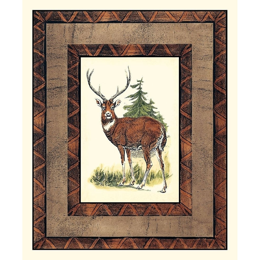 Rustic Deer Poster Print - Studio Vision-VARPDX1244Z Image 1