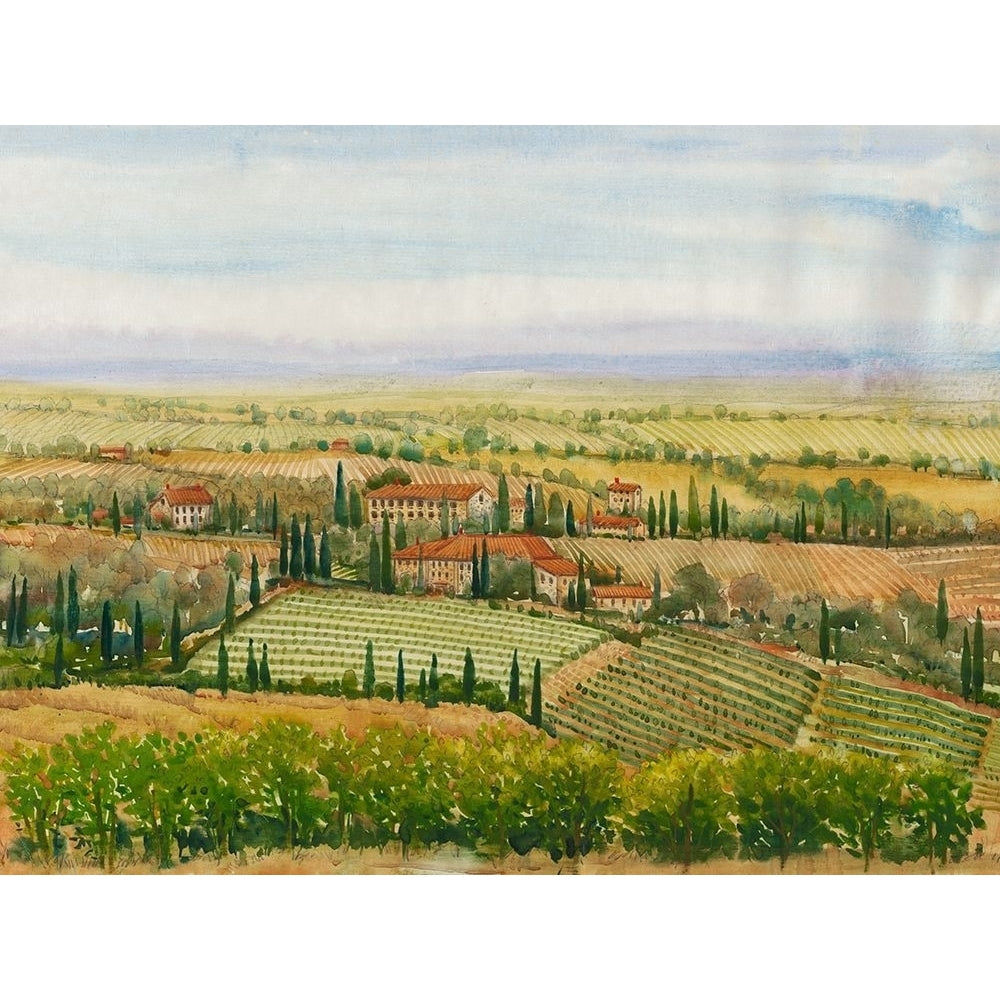 Wine Country View II Poster Print - Tim OToole-VARPDX124563GG Image 1