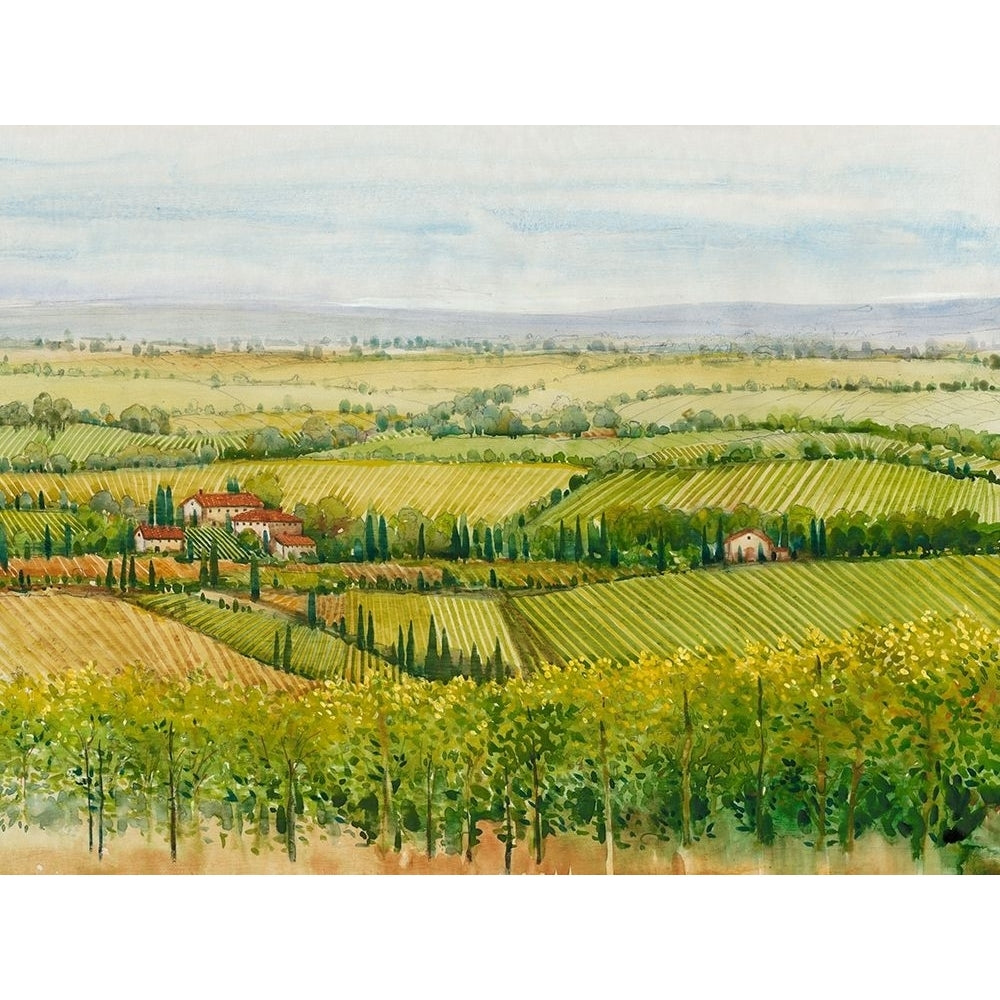 Wine Country View I Poster Print - Tim OToole-VARPDX124562GG Image 1