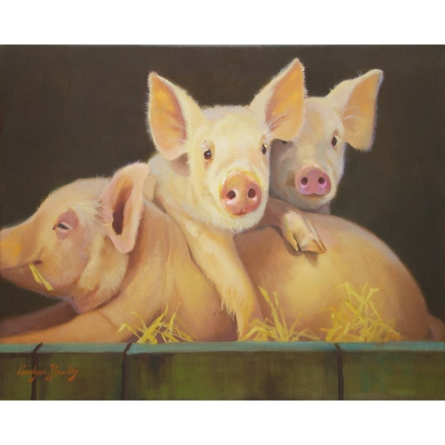 Life as a Pig III Poster Print - Carolyne Hawley-VARPDX124568GG Image 1